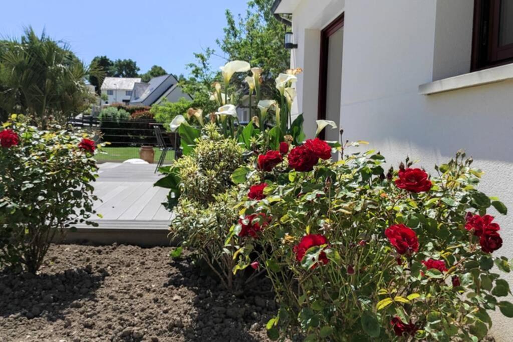 ✪ Sur La Route Des Plages - Maison Pour 8 Pers. ✪ Auray Εξωτερικό φωτογραφία